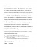 Definición de la estructura organizacional, complejidad y características de la estructura de los centros educativos