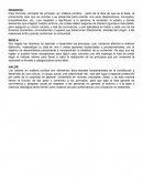 Para formular concepto de principio -en materia jurídica-, parto de la idea de que es la base, la primerísima idea que se concibe o se desarrolla para orientar una serie disposiciones, conceptos, procedimientos