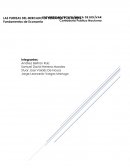 ¿Cuál es la elasticidad precio de la demanda de cada conductor?