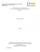 Introducción a la programación practica UNIVERSIDAD NACIONAL ABIERTA Y ADISTANCIA – UNAD