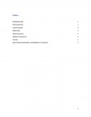 Proyecto. El cáncer cervicouterino aun en la actualidad