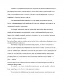 Análisis de los factores políticos de las organizaciones en México.