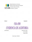 Administración y Contaduría LA EVIDENCIA DE AUDITORÍA