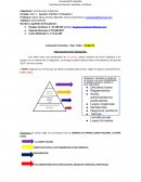 En primer lugar de la jerarquía esta las NORMAS DE RANGO CONSTITUCIONAL O SUPRA LEGAL.[pic 4]