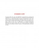 El presente trabajo tiene como base fundamental el reconocimiento de la aplicación del neoliberalismo en su más amplia expresión, a la vez estudiaremos de manera especifica los impactos que este modelo ha provocado en Honduras