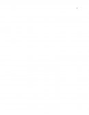 ¿Qué es un sistema de información para ejecutivos?