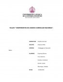 TALLER: “COMPONENTES DEL MARCO CURRICULAR NACIONAL”.