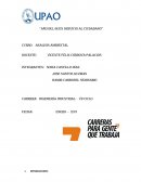 Evaluación del impacto ambiental: Un proceso para la sostenibilidad