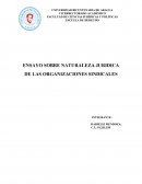 ENSAYO SOBRE NATURALEZA JURIDICA DE LAS ORGANIZACIONES SINDICALES