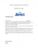 Un nuevo Marketing Internacional_Ev Jumex