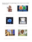 Instrucciones: De acuerdo a las siguientes imágenes, escribe a qué tipo de rama de la filosofía corresponde cada una.