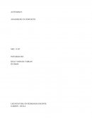 ANALISIS DE UN CONFLICTO INSEGURIDAD DE TURISTAS EN LAS CALLES DE NEIVA