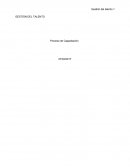 GESTIÓN DEL TALENTO Proceso de Capacitación