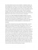 En las últimas décadas ha nacido una clase de empleados y/o trabajadores asalariaos