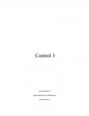 Control Administración de la Producción