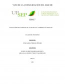 APLICACIÓN DEL SERVICIO AL CLIENTE EN LA EMPRESA O NEGOCIO