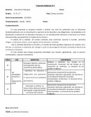 PLANIFICACION Los Derechos Humanos