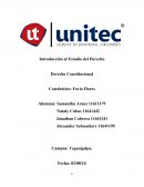 Introducción al Estudio del Derecho-Derecho Constitucional