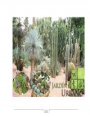 La Organización Mundial de la Salud (OMS) plantas medicinales