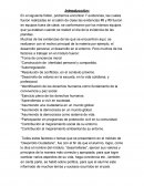 Conclusion e introduccion desarrollo