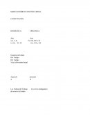 Fundamentos Constitucionales del Derecho Laboral