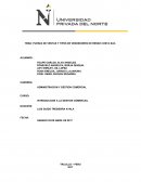 FUERZA DE VENTAS Y TIPOS DE VENDEDORES DE RENZO COSTA SAC