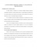 LA JUSTICIA INDÍGENA ORIGINARIA CAMPESINA Y LA VIOLACIÓN DE LOS DERECHOS HUMANOS