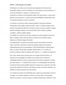 Posiblemente, la escritura sea la invención más importante de la historia de la humanidad