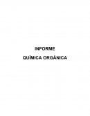 Química orgánica ¿Habrá reacción de la carne, al aplicarle el ácido sulfúrico?