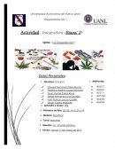 Español 2 Consumo de drogas