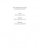 Tras la lectura del caso, reflexiona entorno a cuál es la estrategia principal de Red Bull, los atributos básicos del producto, y su propuesta de valor.