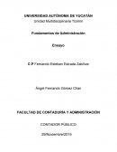 Importancia del proceso administrativo.