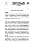 Ensayo de COMERCIALIZACIÓN Y SOBERANÍA ALIMENTARIA