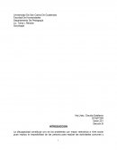 Qué es la Educación Especial?