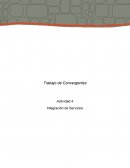 Trabajo de Convergentes