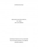 Diversidad biologica.