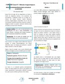 MÉTODOS IMAGENOLÓGICOS PARA EL ESTUDIO DE LA ANATOMÍA