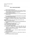 Derecho penal cuestionario