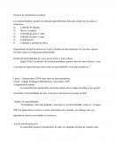 Procesos de transferencia a realizar.