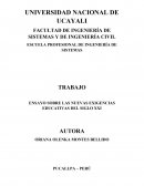 ENSAYO SOBRE LAS NUEVAS EXIGENCIAS EDUCATIVAS DEL SIGLO XXI