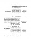 Práctica sobre propiedades de los líquidos.