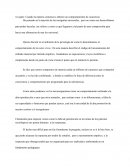 Descripción de la psicología inmaterial