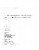 SOPA DE PLÁSTICO Desarrollo sostenible