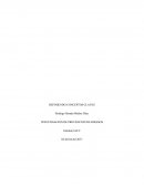 DEFINIENDO CONCEPTOS CLAVES . INVESTIGACION DE PREVENCION DE RIESGOS