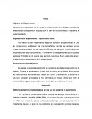 Nieve de Garrafa Experimento