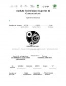 SISTEMAS E INSTALACIONES HIDRAULICAS