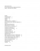 PLAN ESTRATEGICO DE MERCADOTECNIA.