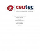 Glosario sociologico.