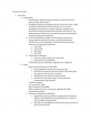 Resumen De Ciencias Sociales