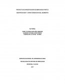 IDENTIFICACION Y CARACTERIZACION DEL SEGMENTO